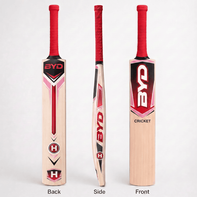 BYD Heroic Bat